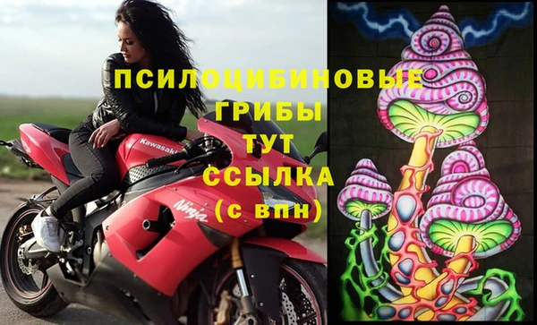 PSILOCYBIN Осинники