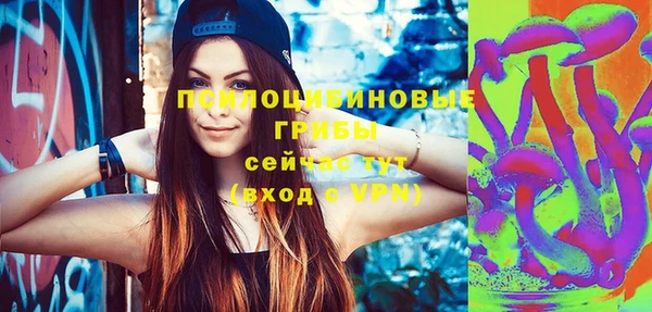 PSILOCYBIN Осинники