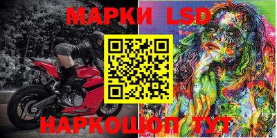 прущие грибы Абакан