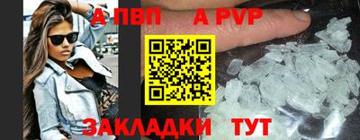 прущие грибы Абакан