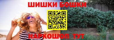 прущие грибы Абакан