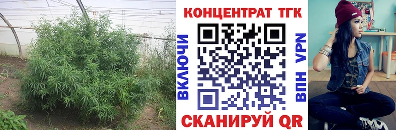 Дистиллят ТГК гашишное масло  сайты даркнета состав  Южно-Сахалинск  где купить наркоту 
