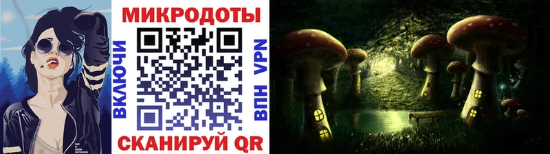 сколько стоит  Южно-Сахалинск  Псилоцибиновые грибы MAGIC MUSHROOMS 
