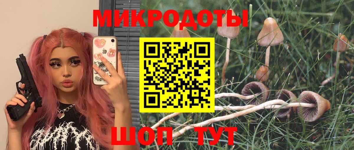 Псилоцибиновые грибы ЛСД Южно-Сахалинск
