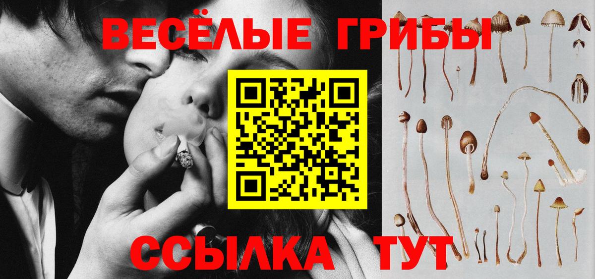 что такое   Галлюциногенные грибы GOLDEN TEACHER  Вход с VPN  Галлюциногенные грибы Psilocybe  Южно-Сахалинск 